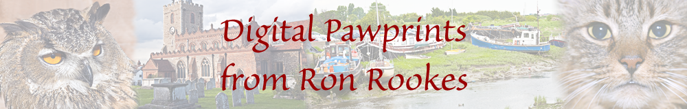 Digital Pawprints Header