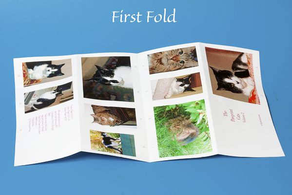 First fold
