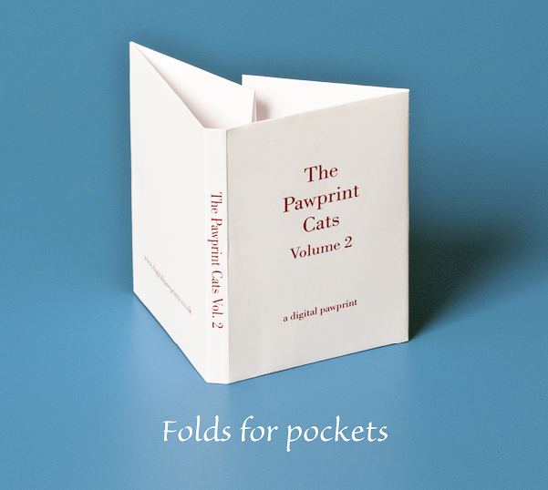 Folds for end paper pockets