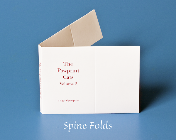 Spine folds
